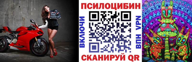 магазин  наркотиков  Инсар  Псилоцибиновые грибы GOLDEN TEACHER 